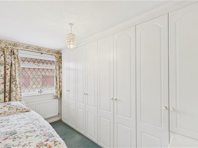 Picture 15